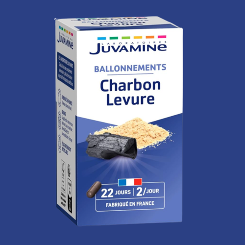 Charbon Végétal et levure  1000 Mg