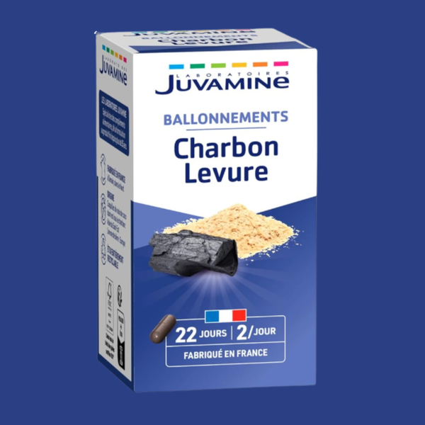 Charbon Végétal et levure  1000 Mg