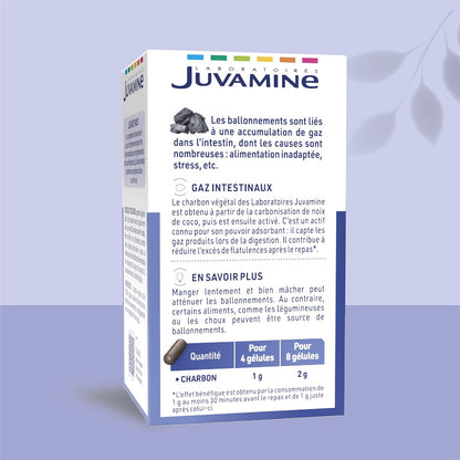 Charbon Végétal et levure  1000 Mg