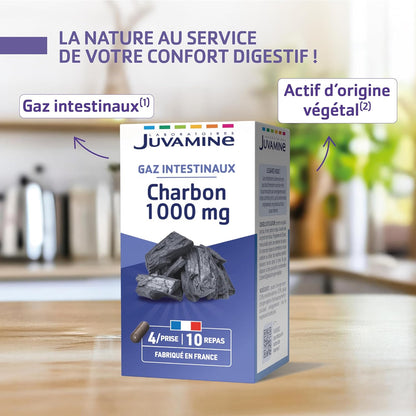 Charbon Végétal et levure  1000 Mg