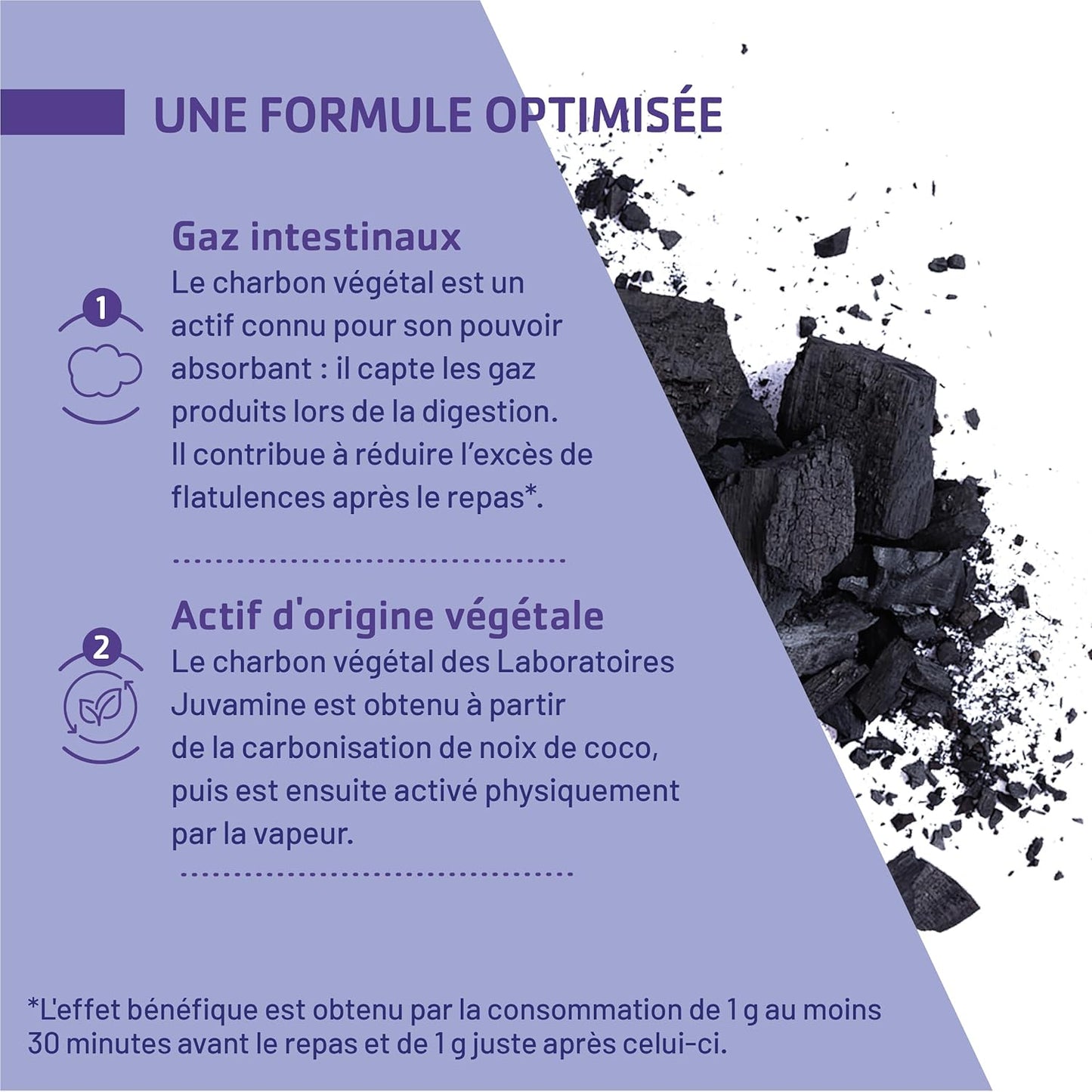 Charbon Végétal et levure  1000 Mg