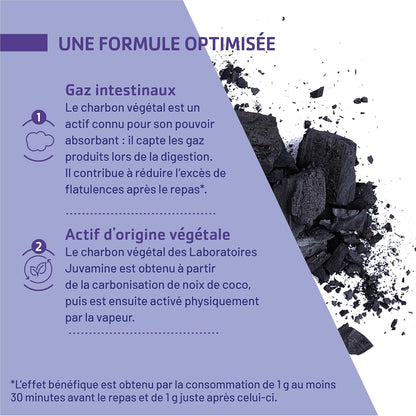 Charbon Végétal et levure  1000 Mg