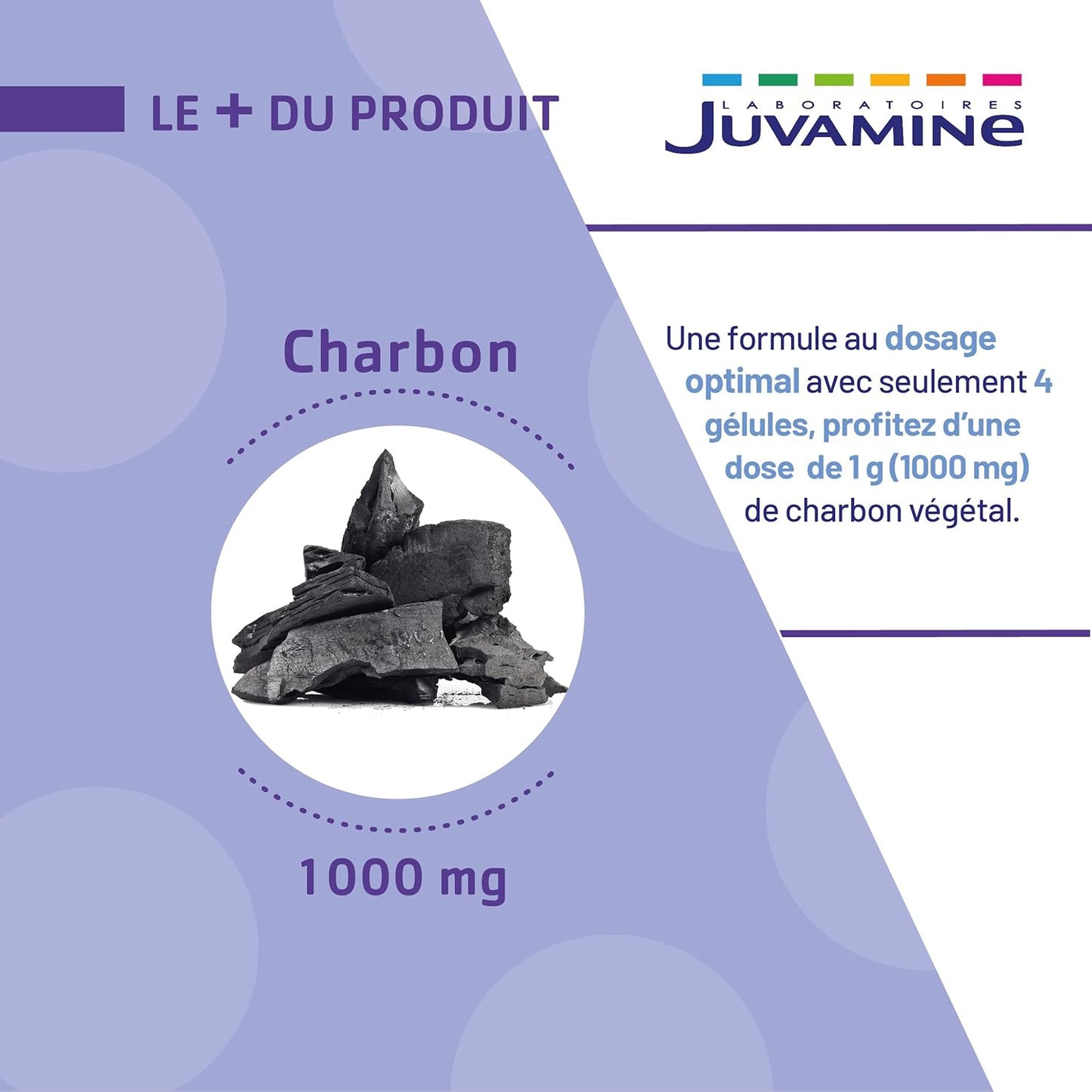 Charbon Végétal et levure  1000 Mg