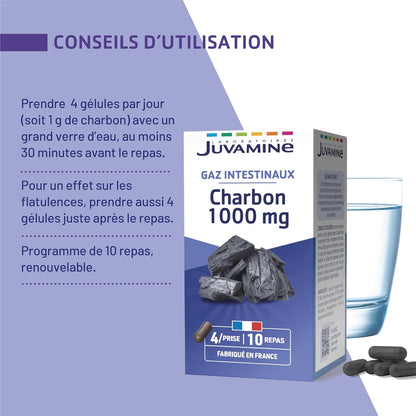 Charbon Végétal et levure  1000 Mg