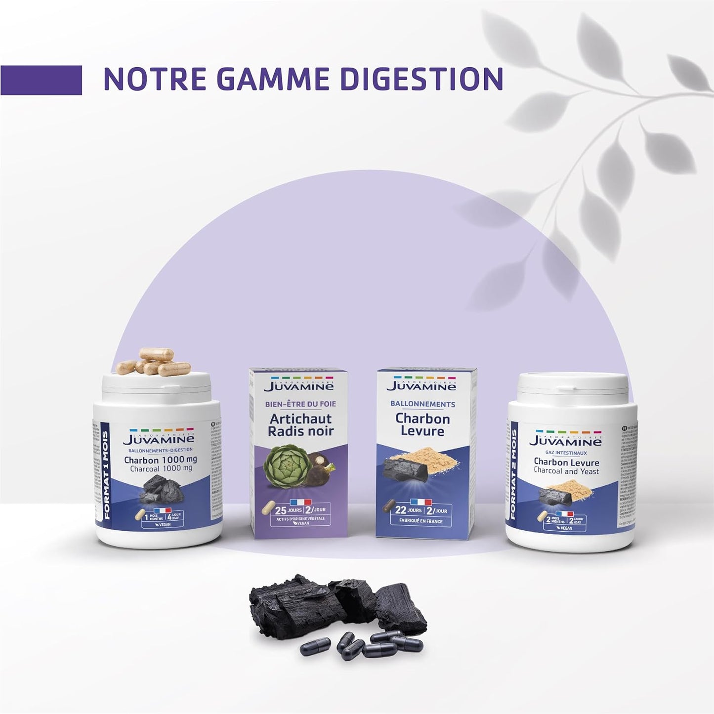 Charbon Végétal et levure  1000 Mg