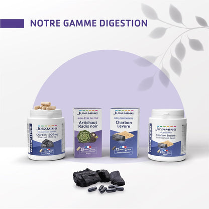 Charbon Végétal et levure  1000 Mg