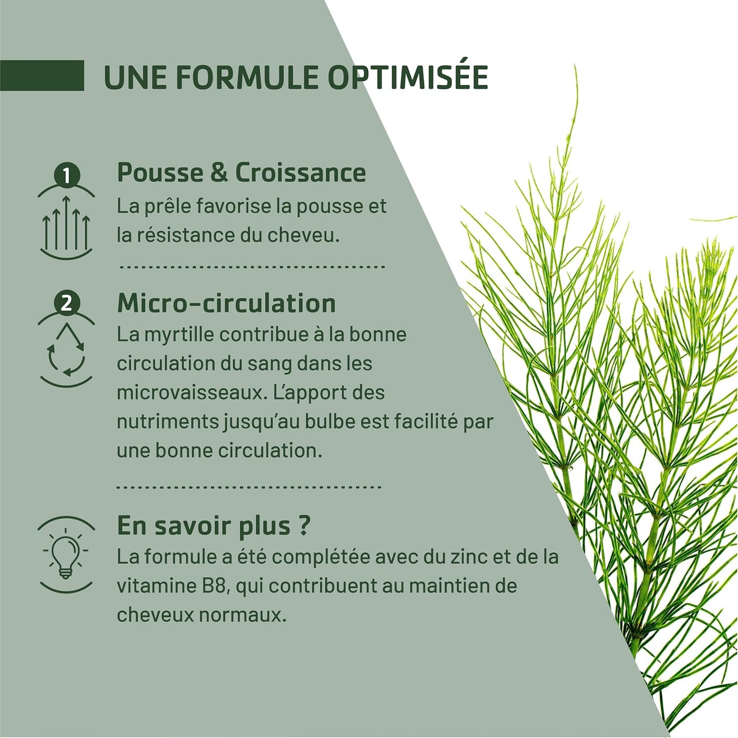JUVAMINE - Expert chute de cheveux