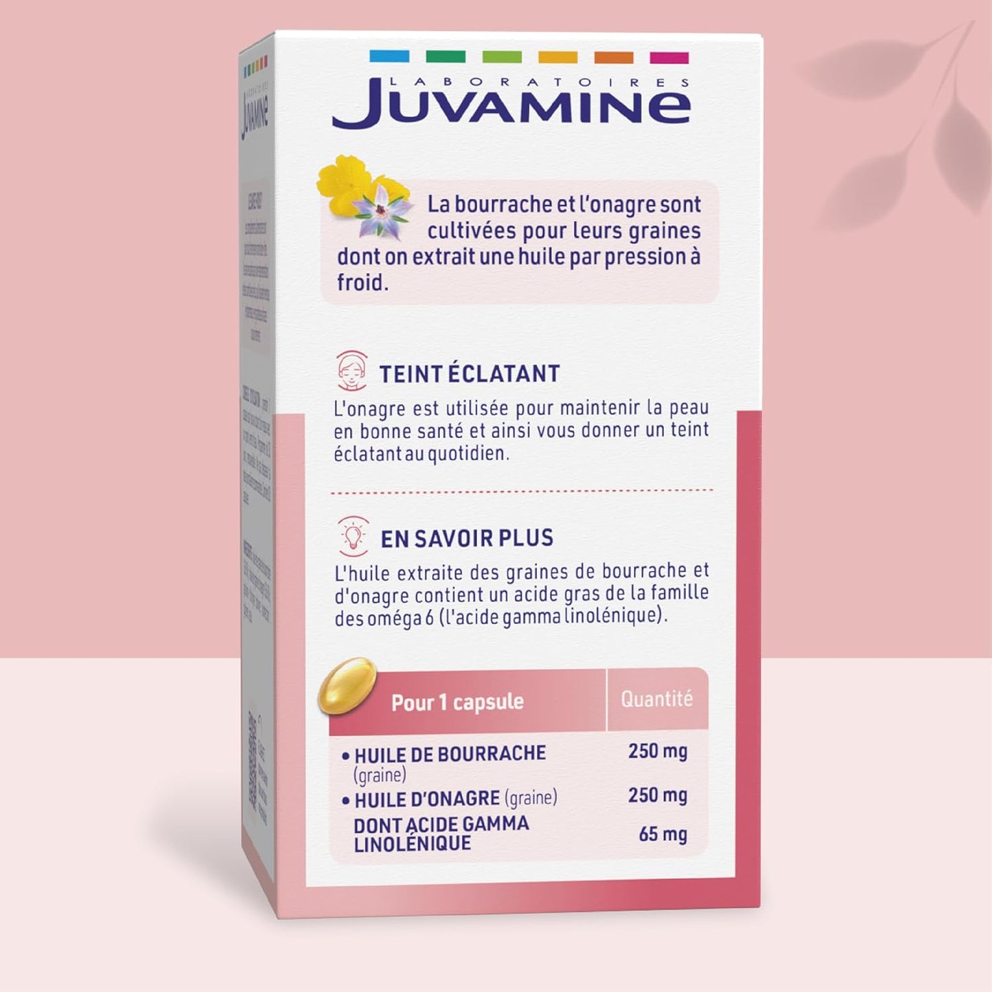 Bourrache Onagre - JUVAMINE
