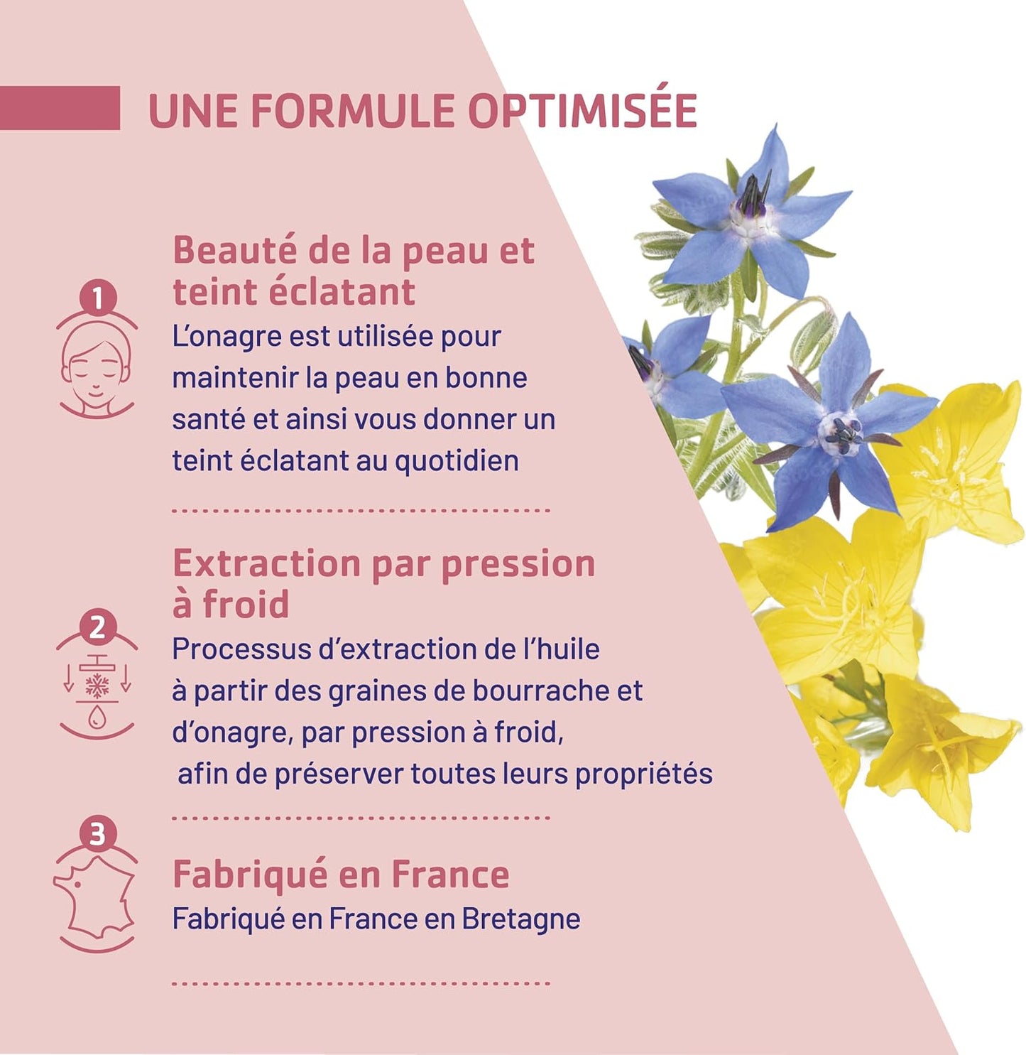 Bourrache Onagre - JUVAMINE