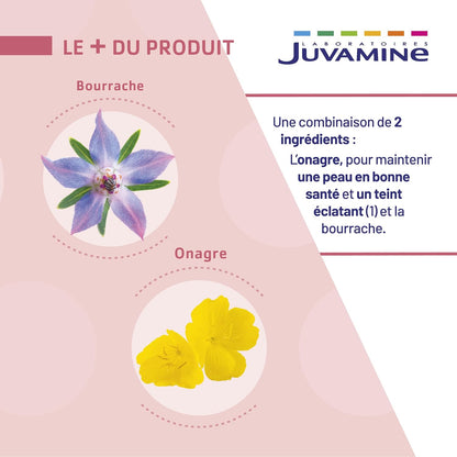 Bourrache Onagre - JUVAMINE